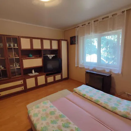 Apartment In - Balaton 45812