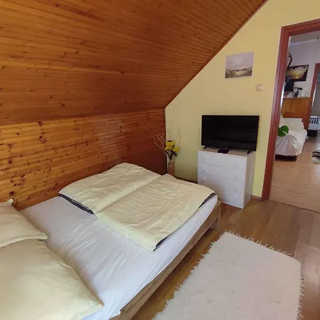 In - Balaton 45812 Apartament *