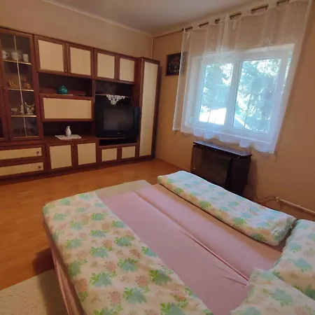 In - Balaton 45812 Apartment